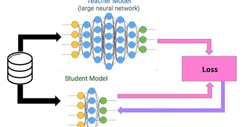 EnVision: Model Distillation