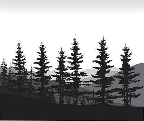 Treeline Silhouette Illustraties en vectorbeelden - iStock | Forest silhouette, Silhouette ...