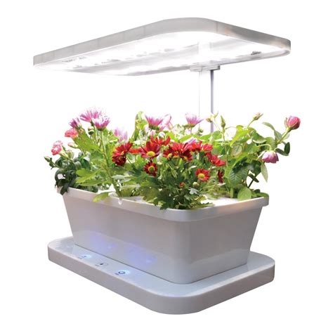 Indoor Garden Kit Price In Bangladesh | Innovate Firm