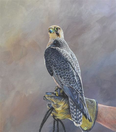 Lanner Falcon on Glove 20 x 28" For Sale Original Bird of Prey Paintings - Wildlife Artist Alan ...