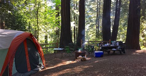 Redwoods Camping at Samuel P Taylor, San Francisco