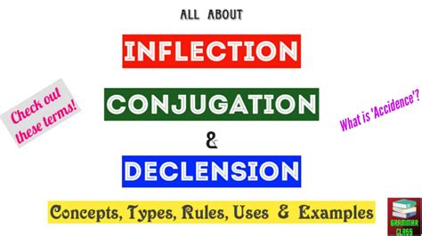 Inflection, Conjugation & Declension in Grammar || Regular & Irregular Verbs - YouTube