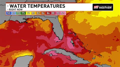 Gulf of Mexico's alarming water temperatures spark concern for coral ...