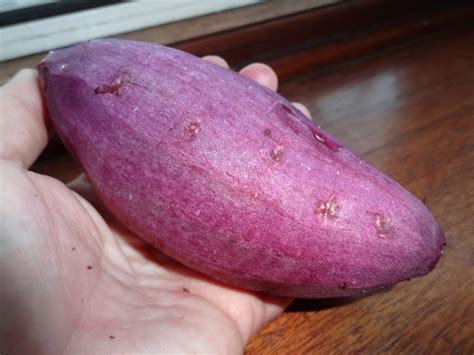 Down on the Allotment: Growing Purple Sweet Potatoes