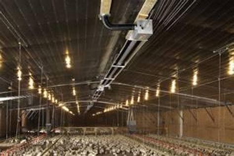 Cómo mejorar la eficiencia energética en los galpones de pollo | WATTPoultry