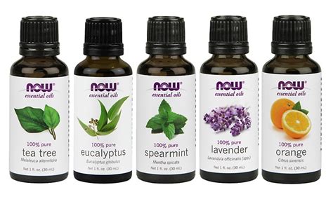 Up To 73% Off on NOW Foods Essential Oils | Groupon Goods