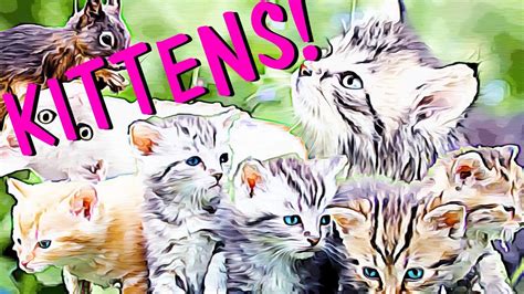 National Kitten Day! - July 10, 2021 - YouTube