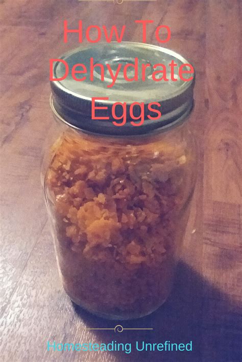 How to Dehydrate Eggs – | Dehydrator, Recipes, Healthy recipes