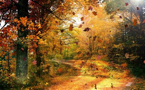 Fall Scenery Wallpapers Free Download | PixelsTalk.Net