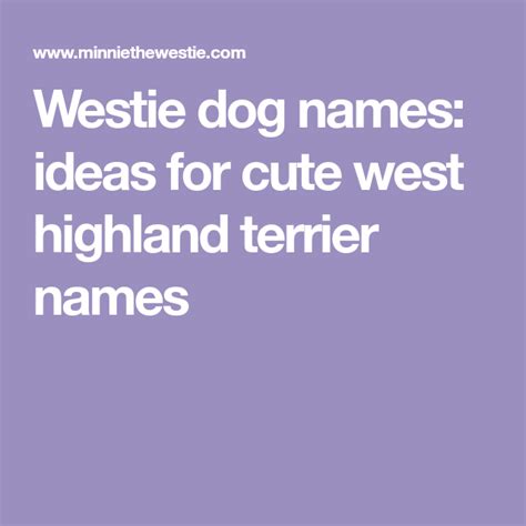 Westie dog names: ideas for cute west highland terrier names | Westie dogs, Dog names, Westies