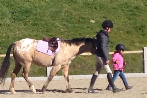 Crystal Clear Farm Horse Riding Lessons Petaluma – Horse Riding Lessons | Petaluma