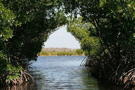 12 Best Hikes in the Everglades - Florida Hiking Trails - BEY OF TRAVEL