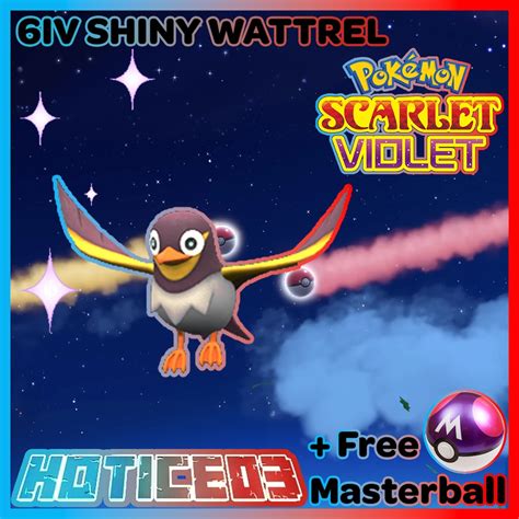 Pokemon Scarlet Violet Shiny Wattrel Max Stats 6IV Master Ball // Fast Trade Pokemon - Etsy Canada