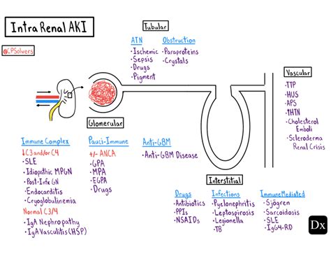 Acute glomerulonephritis,what to know?