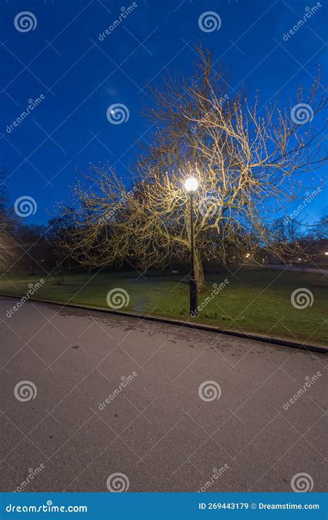 Lamp Post by a Tree in a Park at Night.. Stock Image - Image of building, tree: 269443179