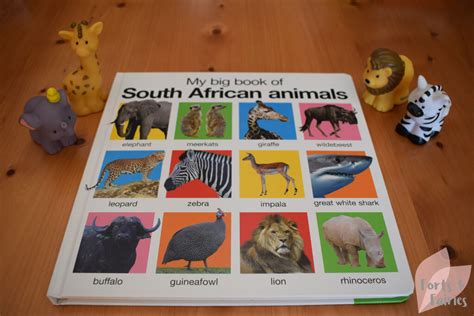 My big book of South African animals - Forts and Fairies