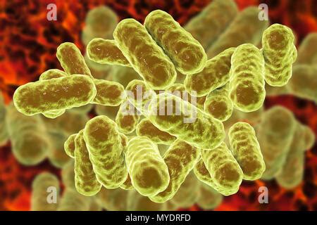 ENTEROBACTER CLOACAE Stock Photo: 49161901 - Alamy