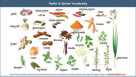 Herbs and Spices Vocabulary