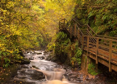 Glenariff Forest Park Waterfalls Autumn 2012 | Deirdre Gregg | Flickr