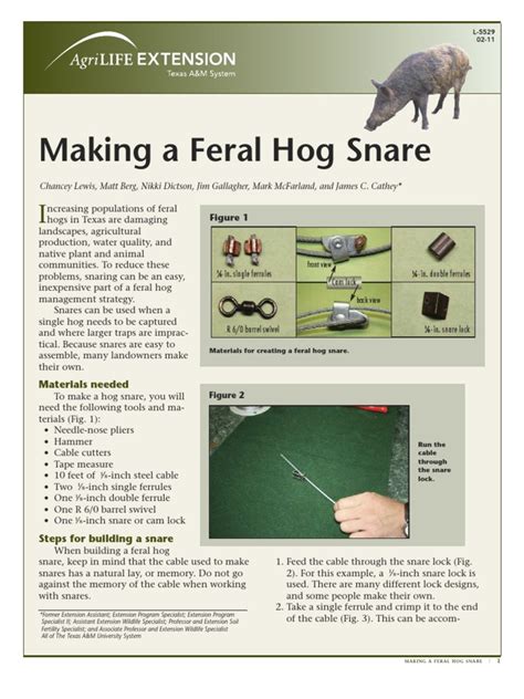 Building a Feral Hog Snare | Trapping | Agriculture