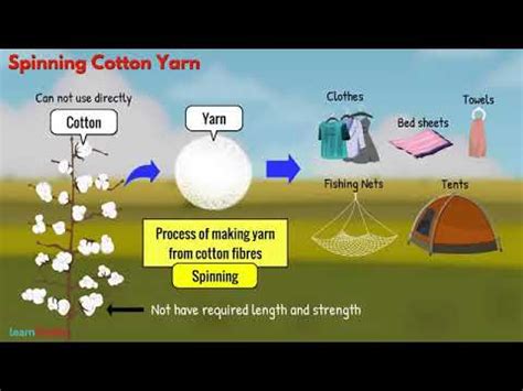 Fibre to Fabric Class 6 Science - YouTube