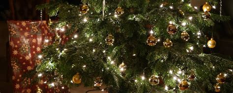 Cool Lighting Ideas for Making Your Christmas Tree The Envy Of The Nei ...