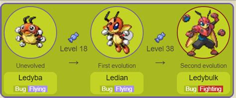 Ledyba Evolution