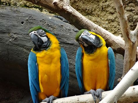 Family Fun and Life: Two Birds at The Wisconsin Zoo