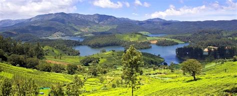 Ooty - Bandipur - Avalanche Lake (from Ooty)