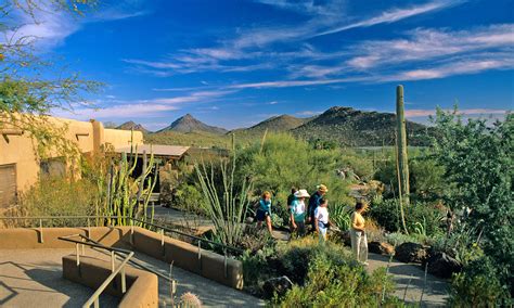 Arizona Sonora Desert Museum © Chuck Haney | Chuck Haney Outdoor ...