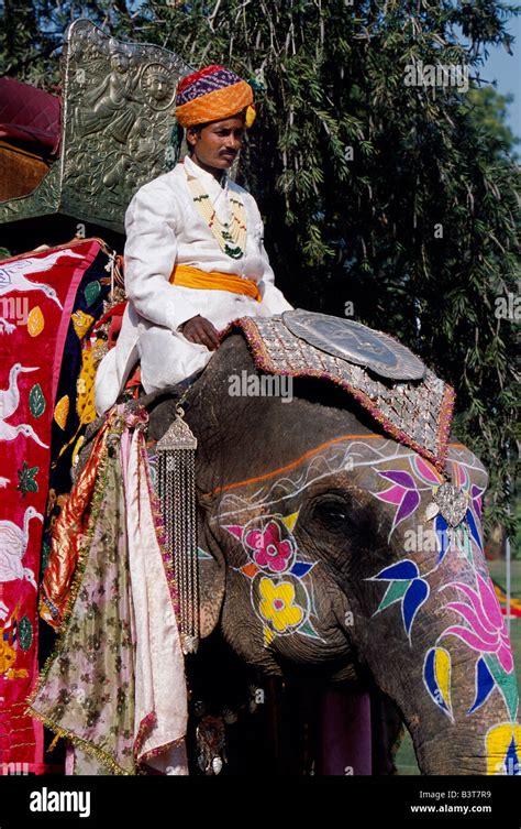 India, Rajasthan, Jaipur. Ornate caparison, howdah and painted decoration on elephant at ...