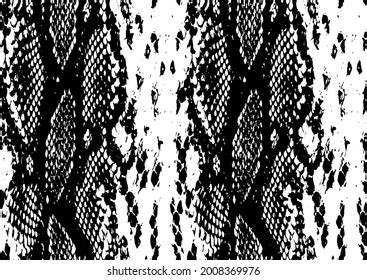 Snake Texture Black White Snake Print Stock Illustration 2008369976 | Shutterstock