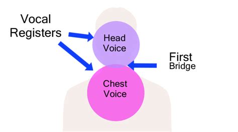 10 Singing Techniques to Improve Your Singing Voice - Ramsey Voice Studio