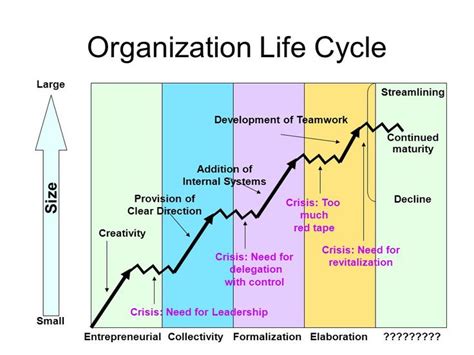 organization life cycle - Google Search | Life organization, Life cycles, Organization