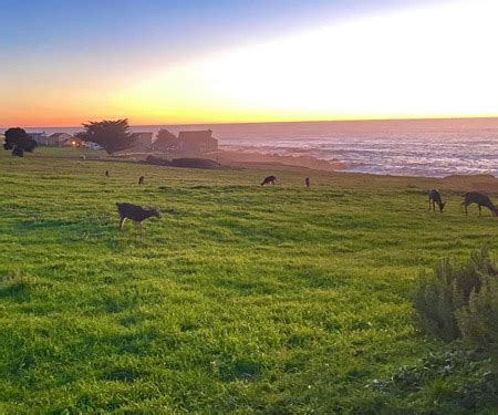 Inn of the Lost Coast Weather Cam - Live Beaches