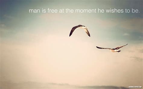 Man is free at the moment he wishes to be. | Fly quotes, Birds quote, Best travel quotes