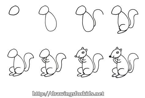 Draw A Squirrel For Kids