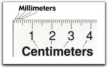 printable wooden ruler inch - Clip Art Library