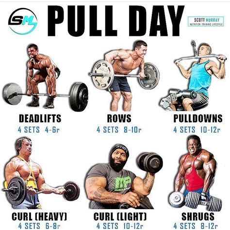 Do you deadlift on pull day? By @smurray_32 Deadlift | Pull day, Pull ...