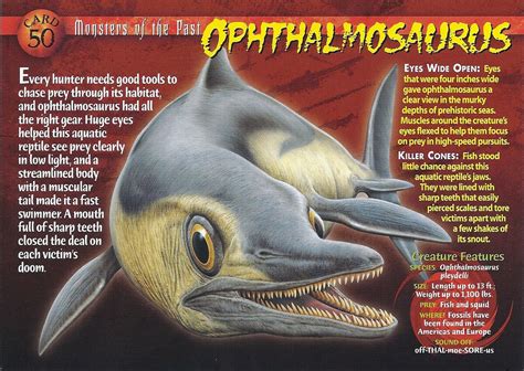 Ophthalmosaurus | Weird n' Wild Creatures Wiki | Fandom