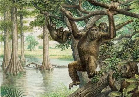 Rare 10 million-year-old fossil unearths new view of human evolution