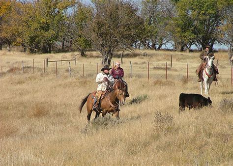 Gardiner Angus Ranch : GAR Remuda : Roping