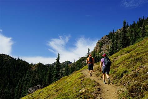 Pacific Northwest Seasons: Hiking the Olympic Peninsula: Panoramic Mt ...