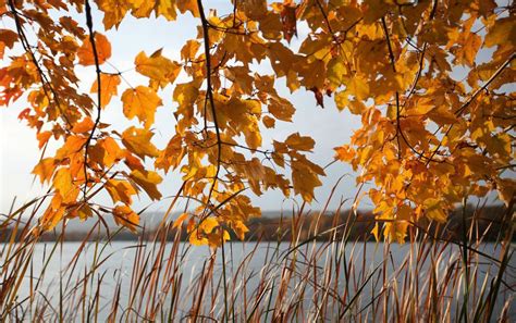 Lehigh Valley fall foliage bursts with color (PHOTOS ...