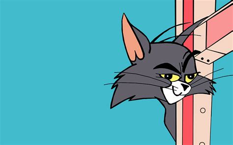 Tom and Jerry Looney Tunes HD Cartoon Wallpapers ~ Cartoon Wallpapers