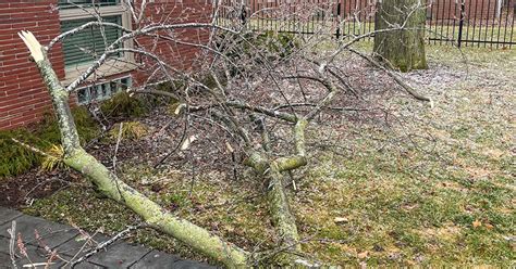 Michigan ice storm leaves power out to more than 700,000 | Crain's ...