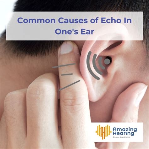 Common Causes of Echo In One's Ear - Amazing Hearing Group- Singapore