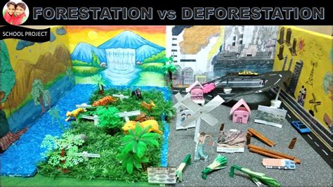 Forestation vs Deforestation School Project/Easy Science Project ...