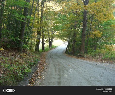 Wooded Country Road Image & Photo (Free Trial) | Bigstock