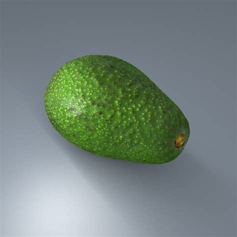 Avocado 3d model